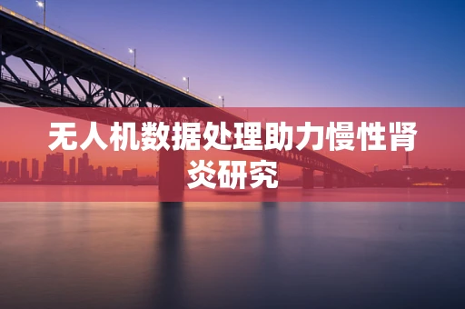 无人机数据处理助力慢性肾炎研究