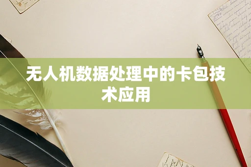 无人机数据处理中的卡包技术应用