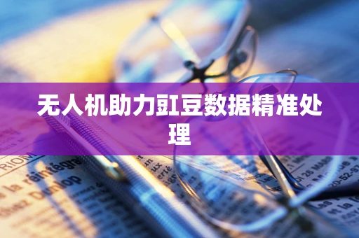 无人机助力豇豆数据精准处理