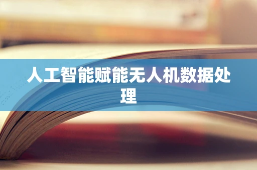 人工智能赋能无人机数据处理