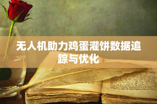 无人机助力鸡蛋灌饼数据追踪与优化