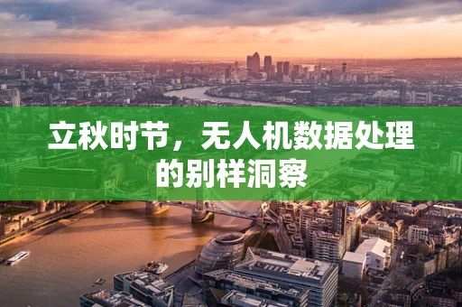 立秋时节，无人机数据处理的别样洞察