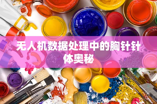 无人机数据处理中的胸针针体奥秘