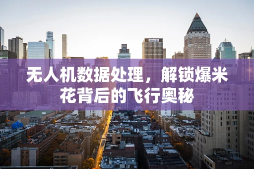 无人机数据处理，解锁爆米花背后的飞行奥秘
