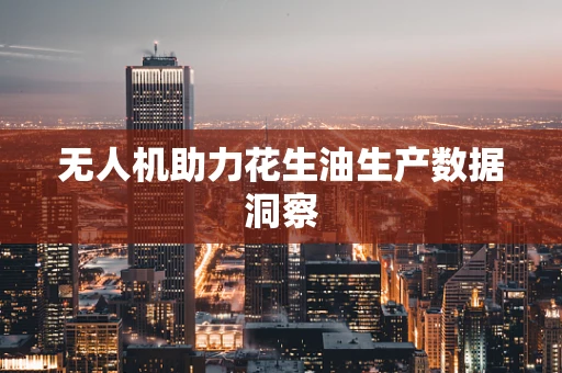 无人机助力花生油生产数据洞察