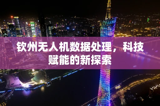 钦州无人机数据处理，科技赋能的新探索