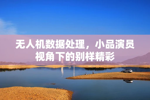 无人机数据处理，小品演员视角下的别样精彩