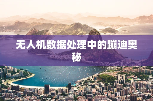 无人机数据处理中的蹦迪奥秘