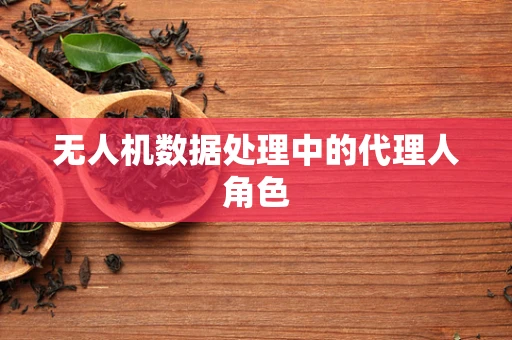 无人机数据处理中的代理人角色