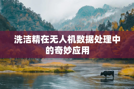洗洁精在无人机数据处理中的奇妙应用