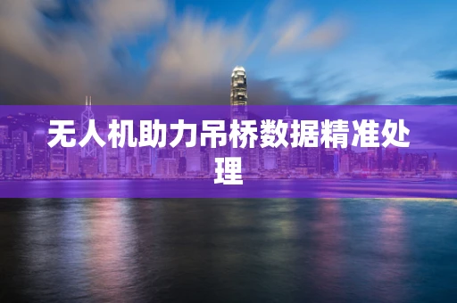 无人机助力吊桥数据精准处理