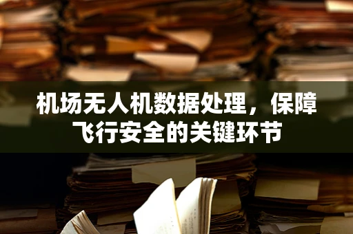 机场无人机数据处理，保障飞行安全的关键环节