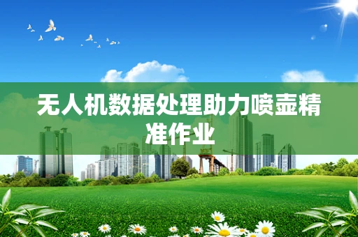 无人机数据处理助力喷壶精准作业
