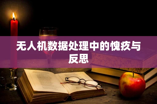 无人机数据处理中的愧疚与反思