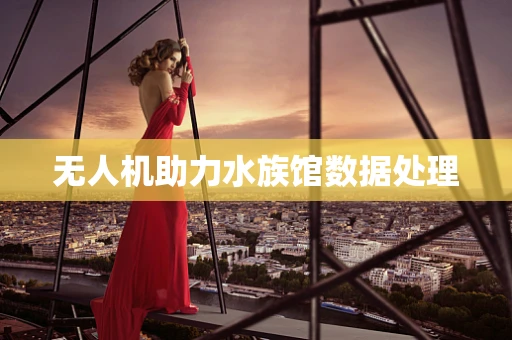 无人机助力水族馆数据处理