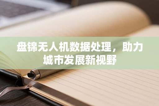 盘锦无人机数据处理，助力城市发展新视野