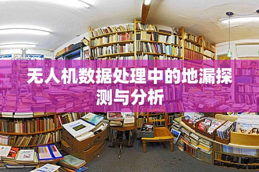 无人机数据处理中的地漏探测与分析