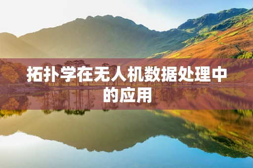 拓扑学在无人机数据处理中的应用