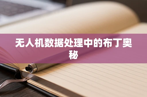 无人机数据处理中的布丁奥秘