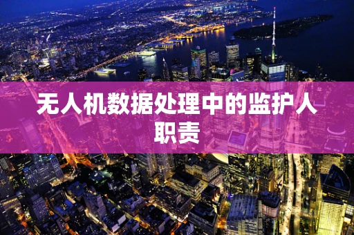 无人机数据处理中的监护人职责