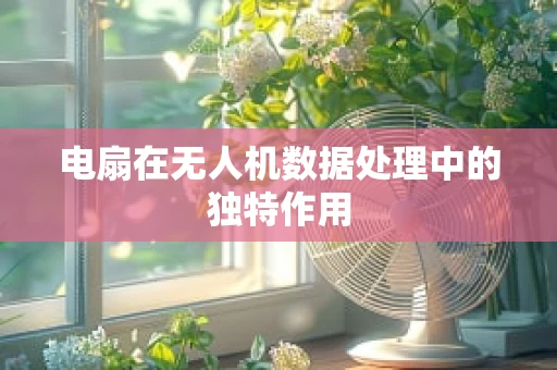 电扇在无人机数据处理中的独特作用