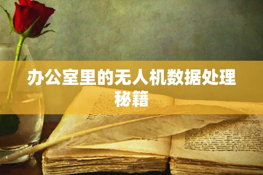 办公室里的无人机数据处理秘籍