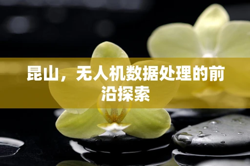 昆山，无人机数据处理的前沿探索