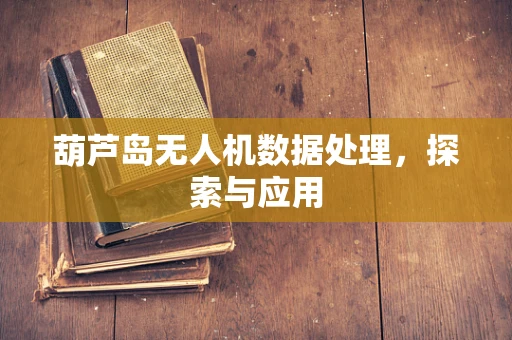 葫芦岛无人机数据处理，探索与应用