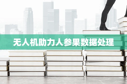 无人机助力人参果数据处理