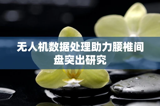 无人机数据处理助力腰椎间盘突出研究
