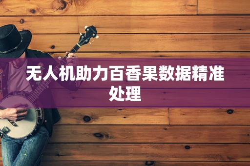 无人机助力百香果数据精准处理