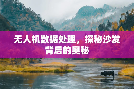 无人机数据处理，探秘沙发背后的奥秘