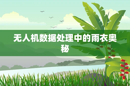 无人机数据处理中的雨衣奥秘
