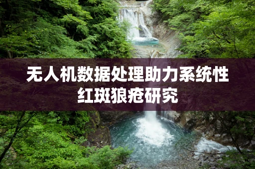 无人机数据处理助力系统性红斑狼疮研究