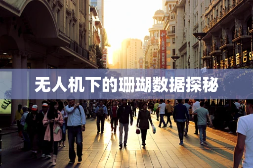 无人机下的珊瑚数据探秘