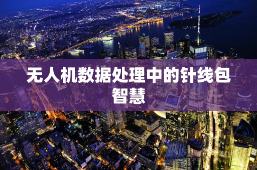 无人机数据处理中的针线包智慧