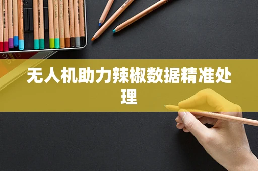 无人机助力辣椒数据精准处理