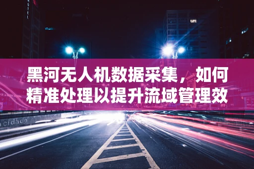 黑河无人机数据采集，如何精准处理以提升流域管理效率？