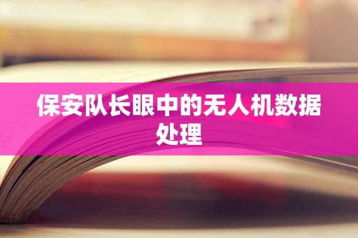 保安队长眼中的无人机数据处理