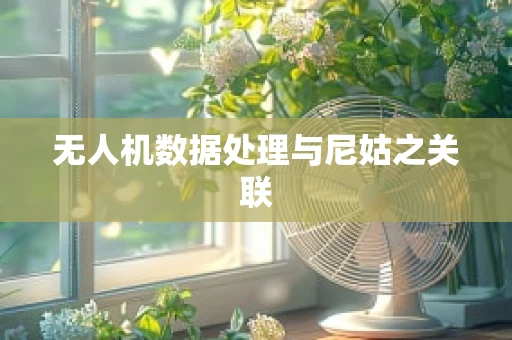 无人机数据处理与尼姑之关联