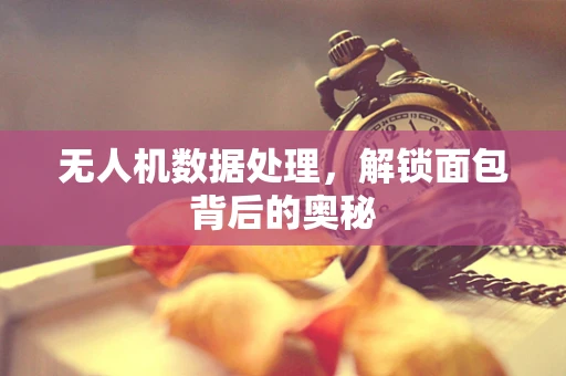 无人机数据处理，解锁面包背后的奥秘