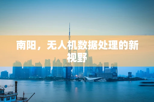 南阳，无人机数据处理的新视野