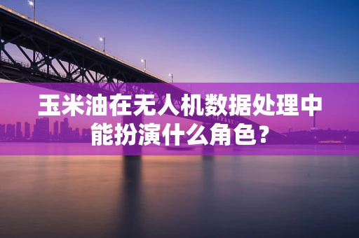 玉米油在无人机数据处理中能扮演什么角色？