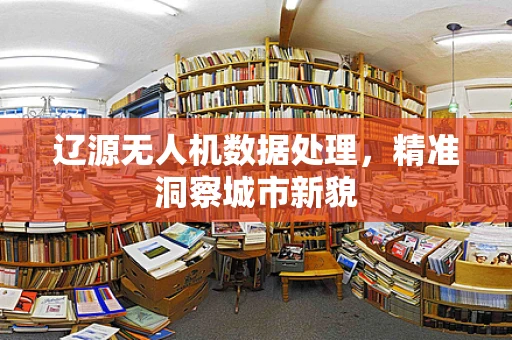 辽源无人机数据处理，精准洞察城市新貌