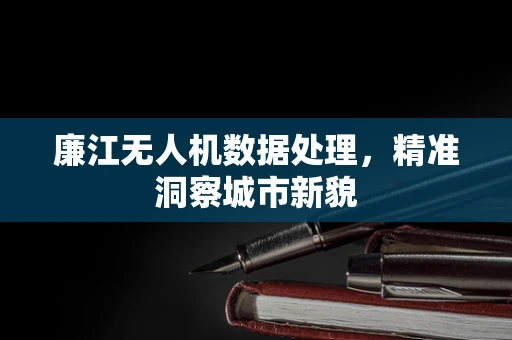 廉江无人机数据处理，精准洞察城市新貌
