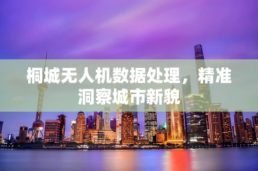 桐城无人机数据处理，精准洞察城市新貌