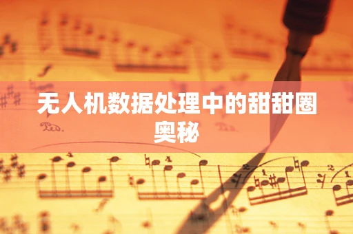 无人机数据处理中的甜甜圈奥秘