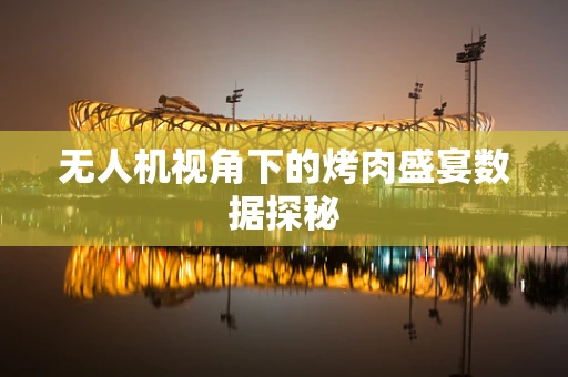 无人机视角下的烤肉盛宴数据探秘
