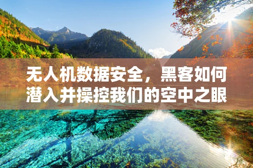 无人机数据安全，黑客如何潜入并操控我们的空中之眼？