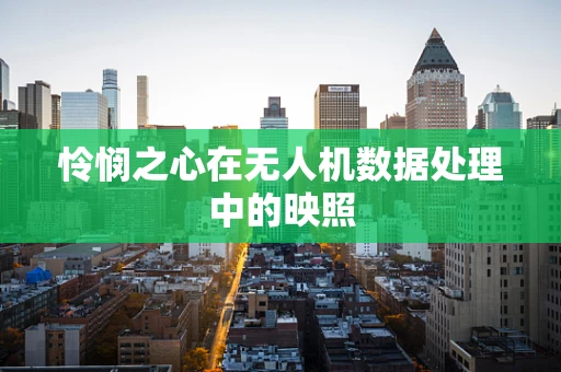 怜悯之心在无人机数据处理中的映照